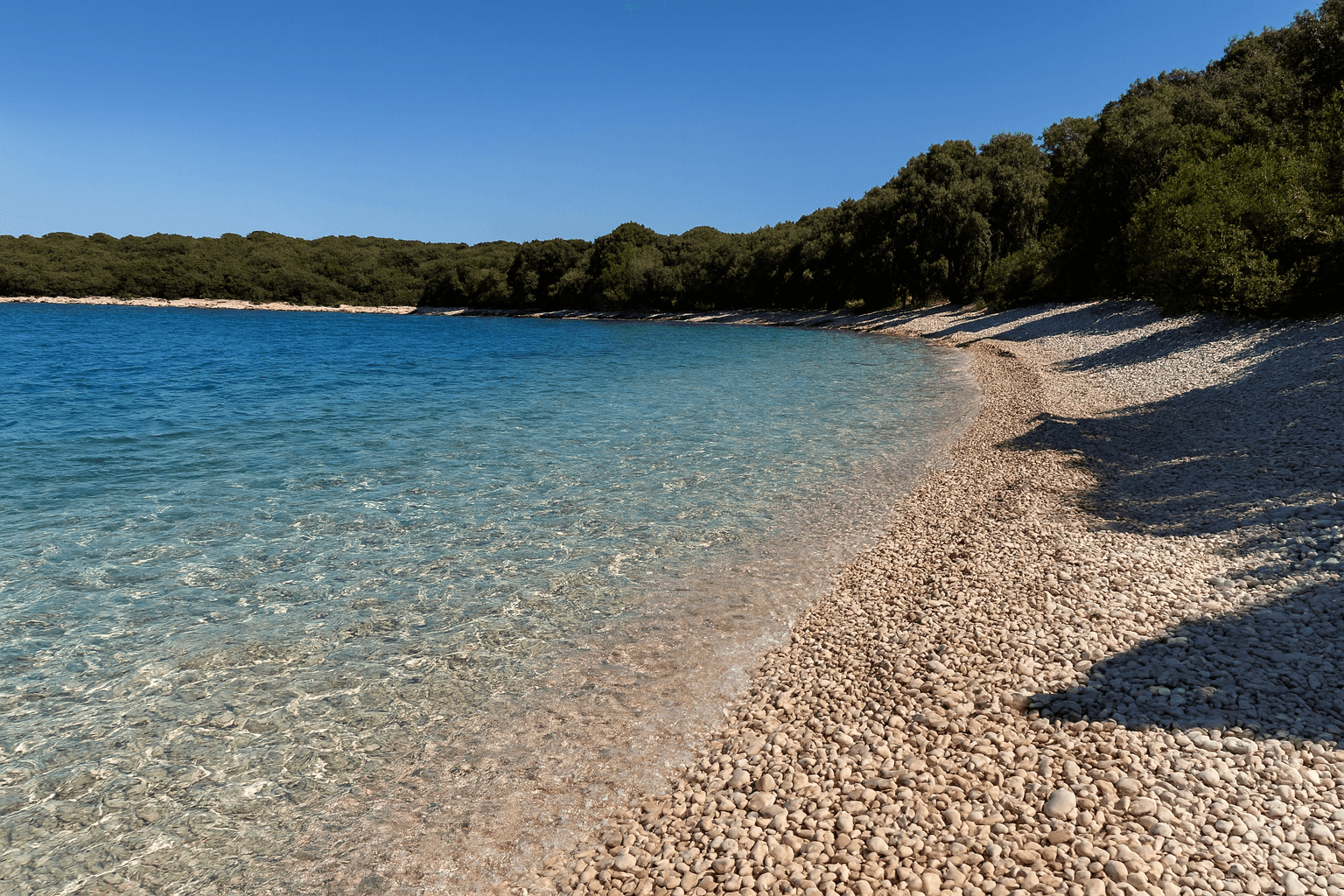 Site background