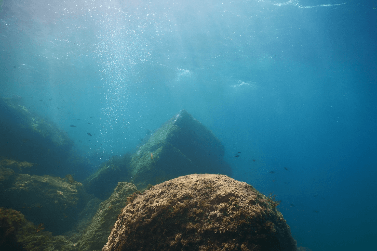 Site background