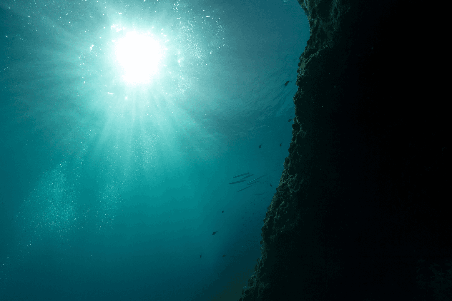 Site background