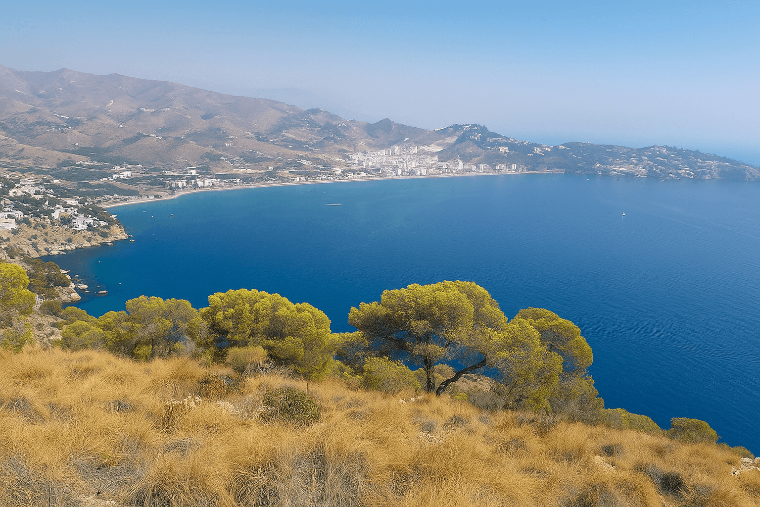 Site background