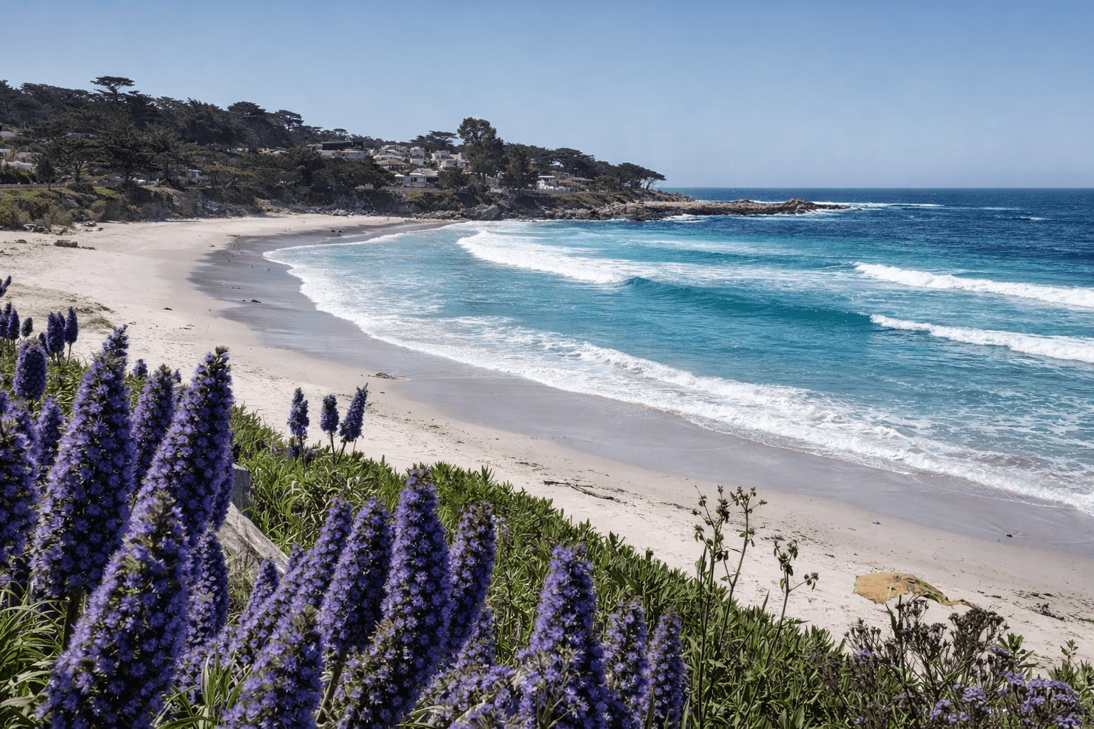 Scuba diving in Carmel by the Sea, California