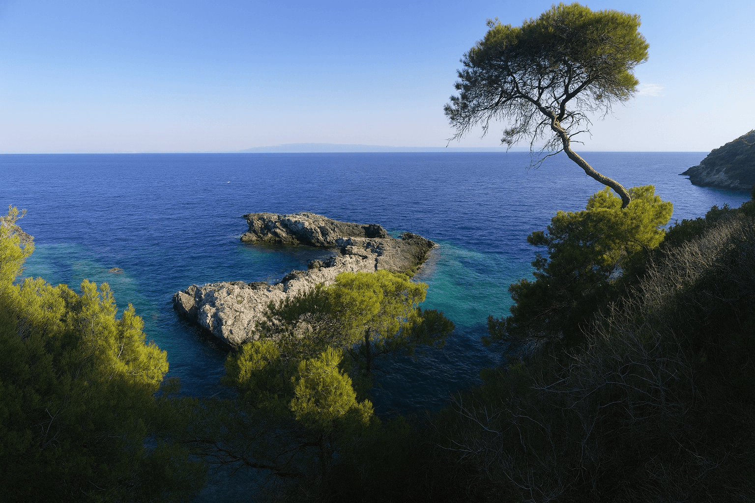 Scuba diving in Tremiti Islands, Puglia