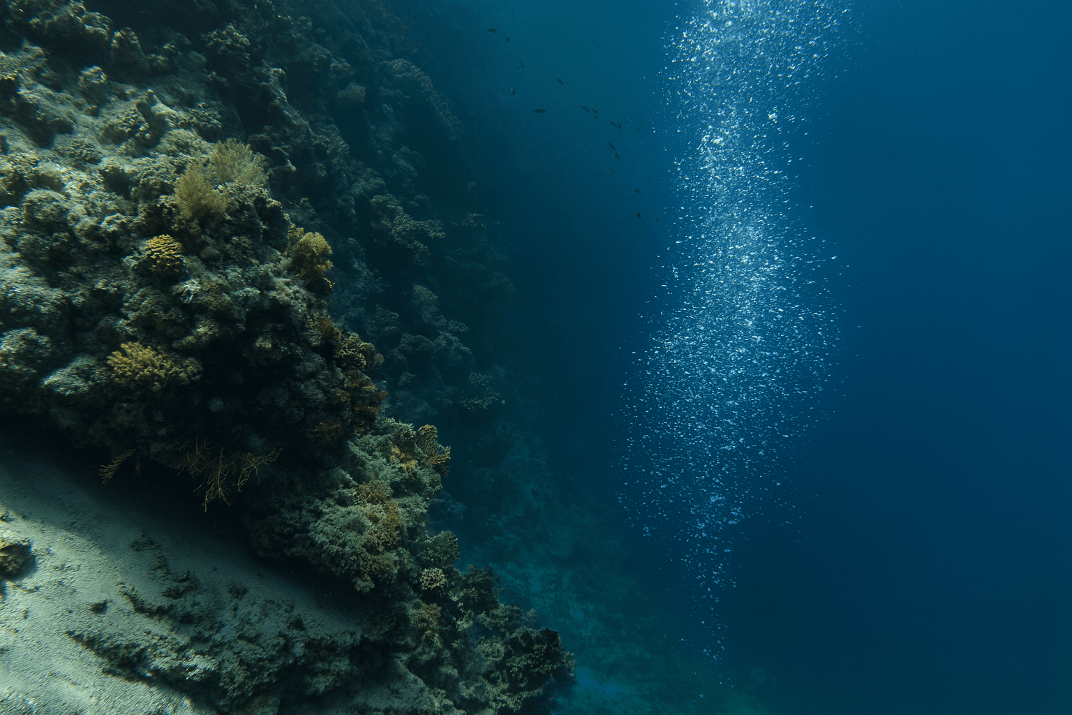 Scuba diving at Agia Anna Wall in Mykonos