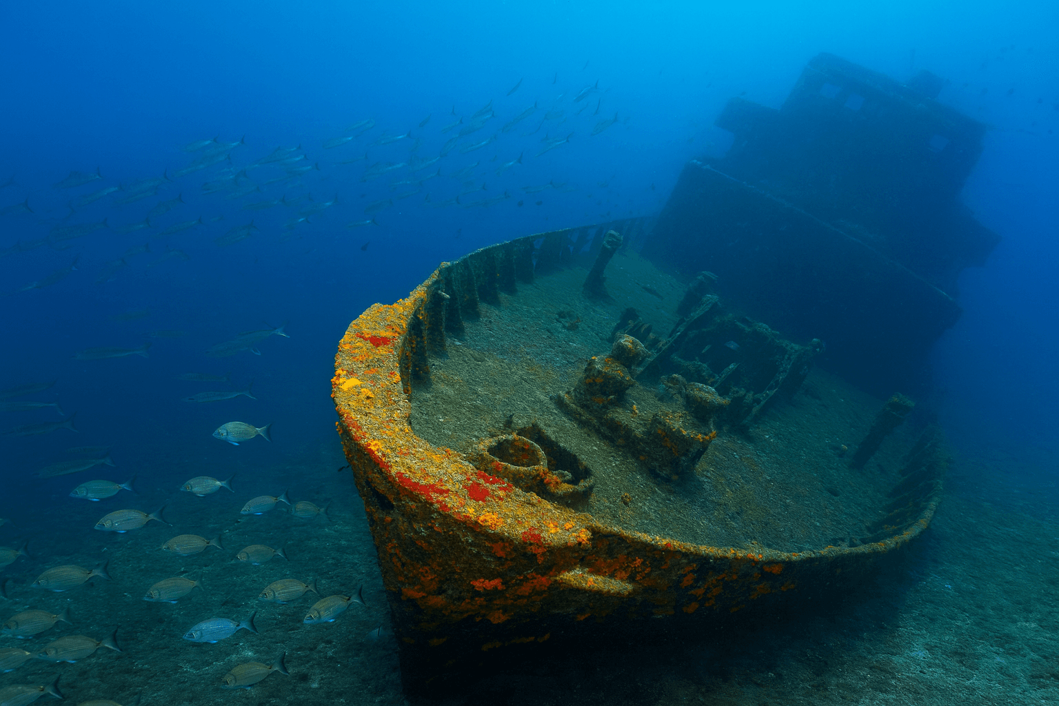 Scuba diving at The Arona (Pecio Arona) in Canary Islands