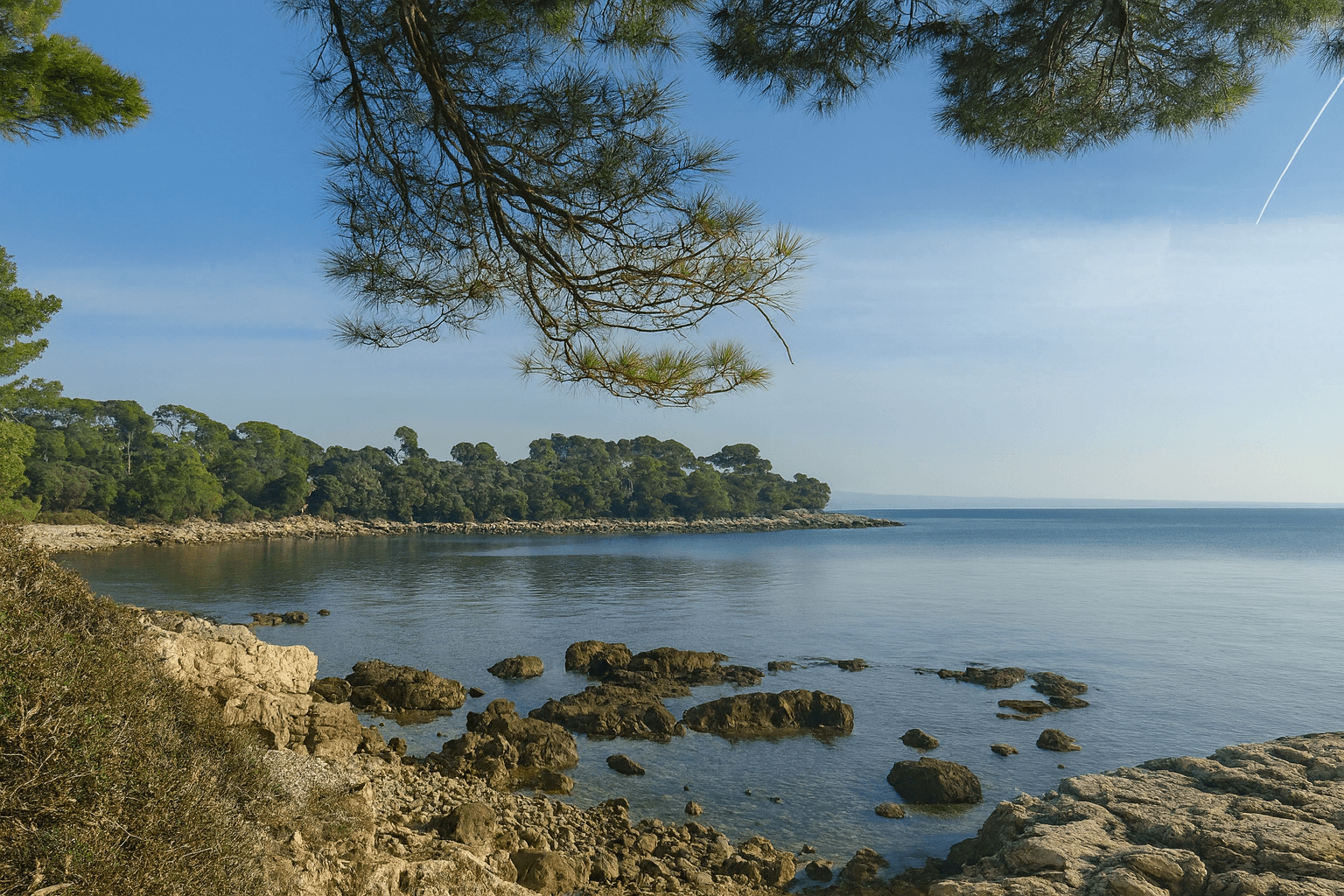 Scuba diving at Baron Gautsch in Rovinj