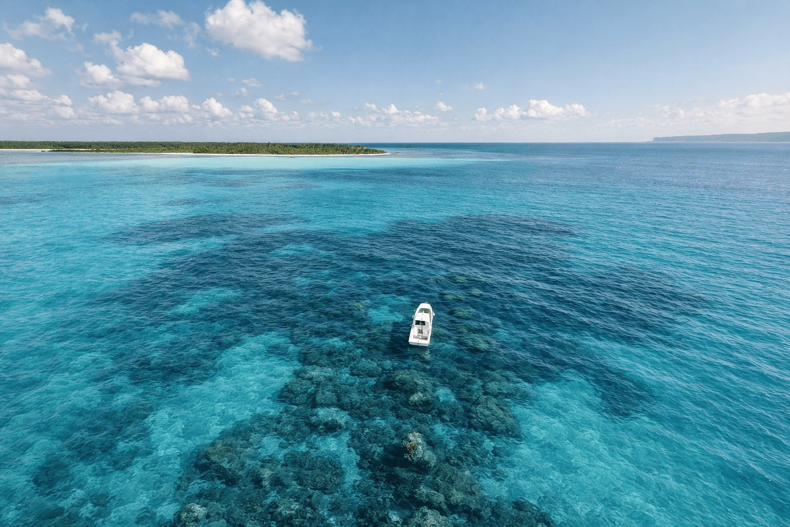 Scuba diving at Chankanaab Reef in Cozumel