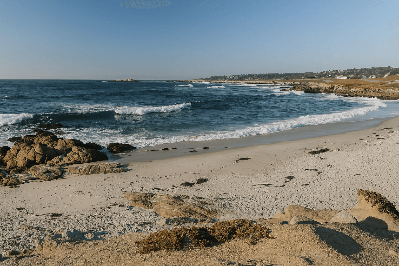 Scuba diving at Fanshell Beach in Carmel by the Sea