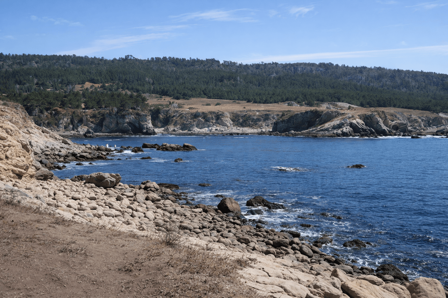 Scuba diving at Gerstle Cove in Sonoma Coast
