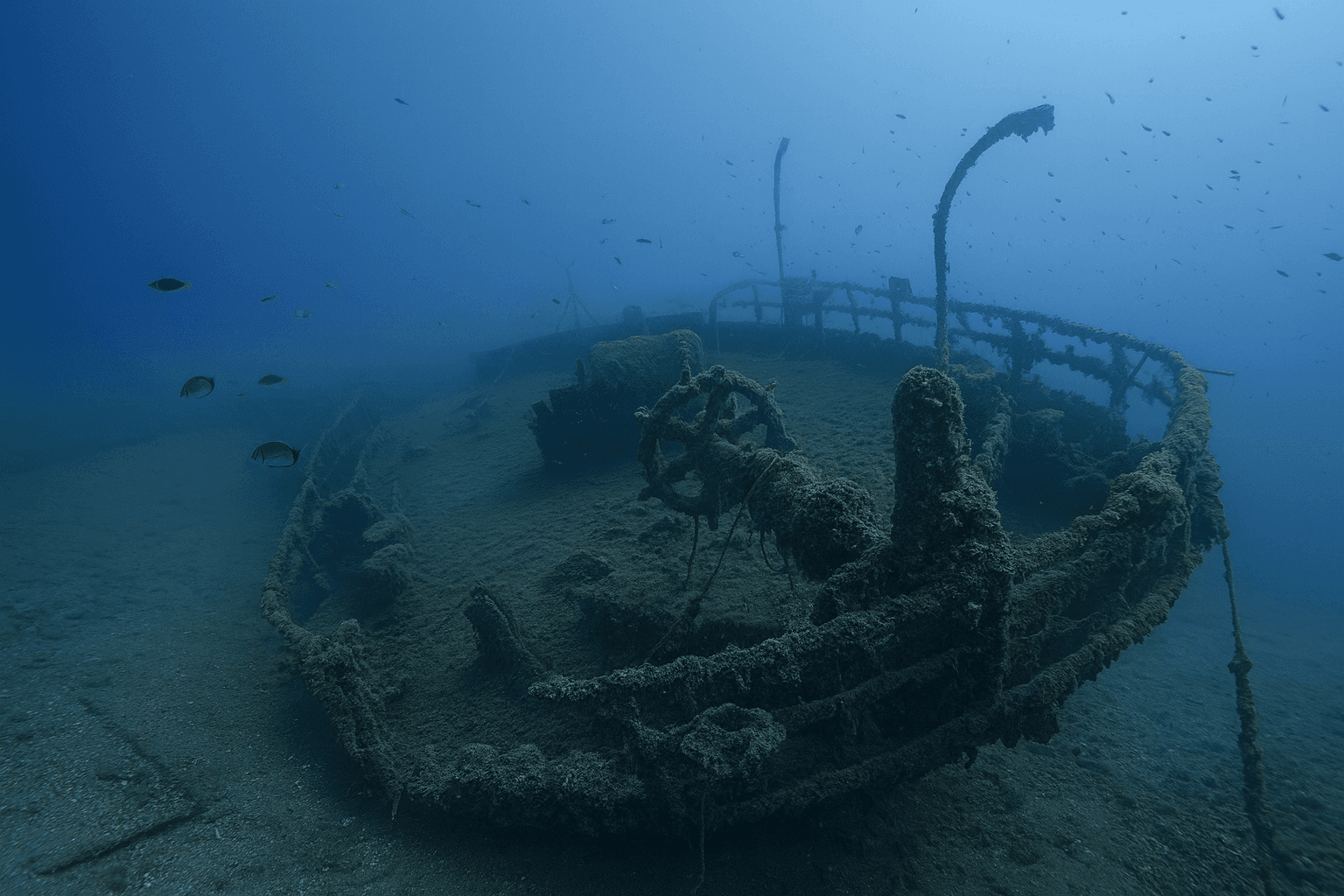 Scuba diving at Giuseppe Dezza (TA-35) in Rovinj