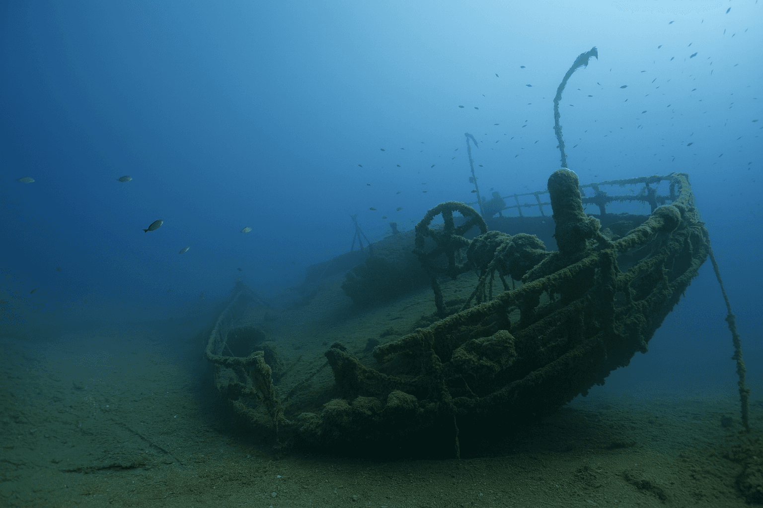 Scuba diving at Golija Wreck in Zadar