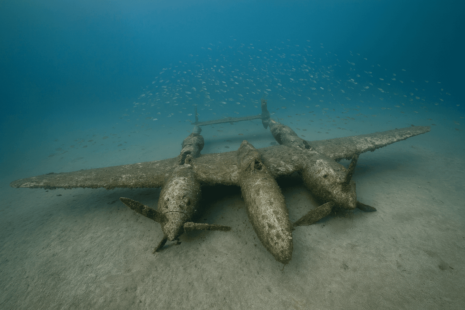 Scuba diving at P38 Lightning in La Ciotat