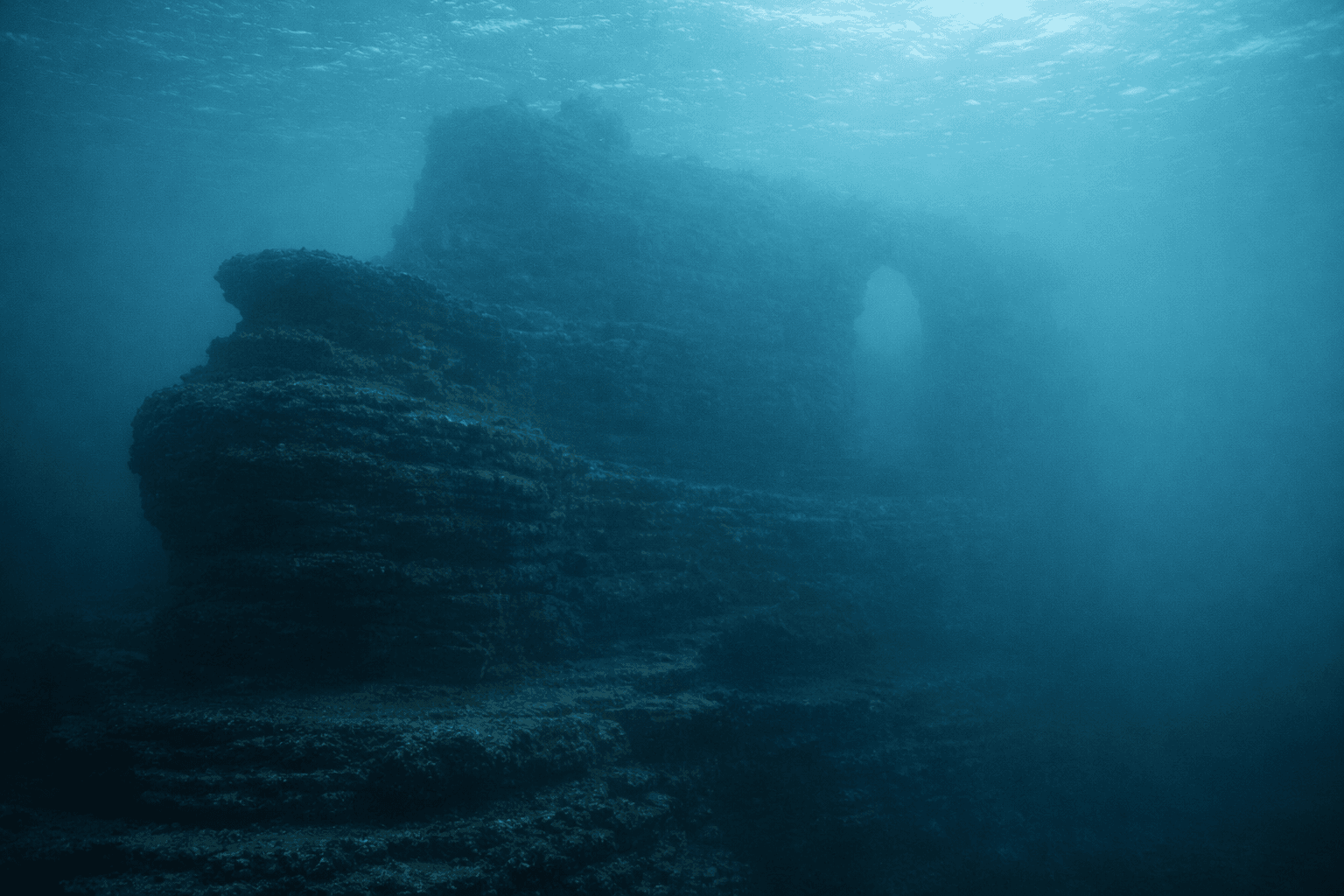 Scuba diving at Scripps Canyon in San Diego